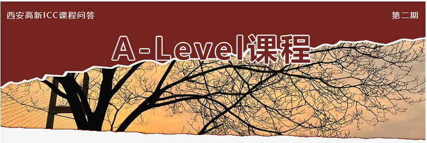 1774517855245068747.png 2.png