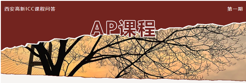 1774518056106010388.png 2.png