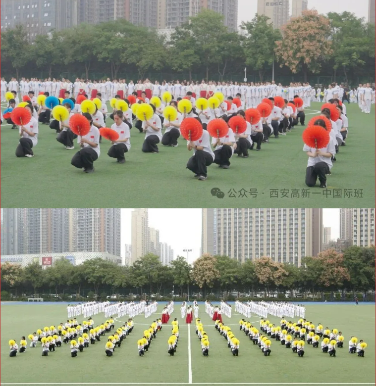5.png